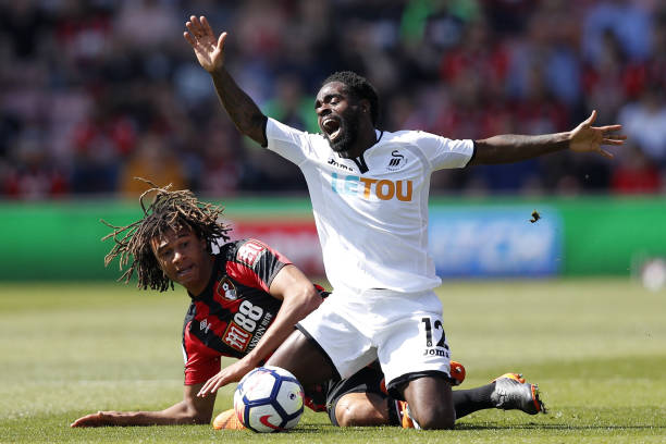 新鲜血液 新鲜血液