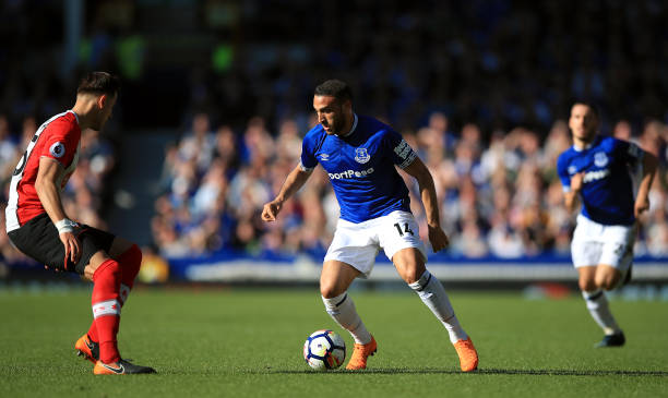 运动能力的 运动能力的