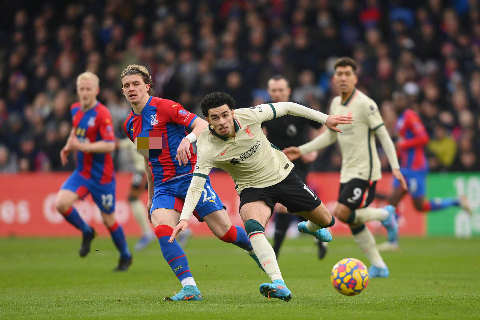 塔的职业生 塔的职业生